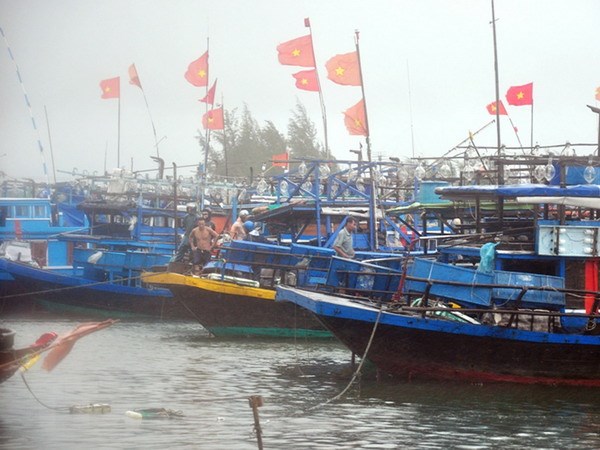 Quảng Nam còn hơn 2.590 lao động đang hoạt động trên biển ảnh 1